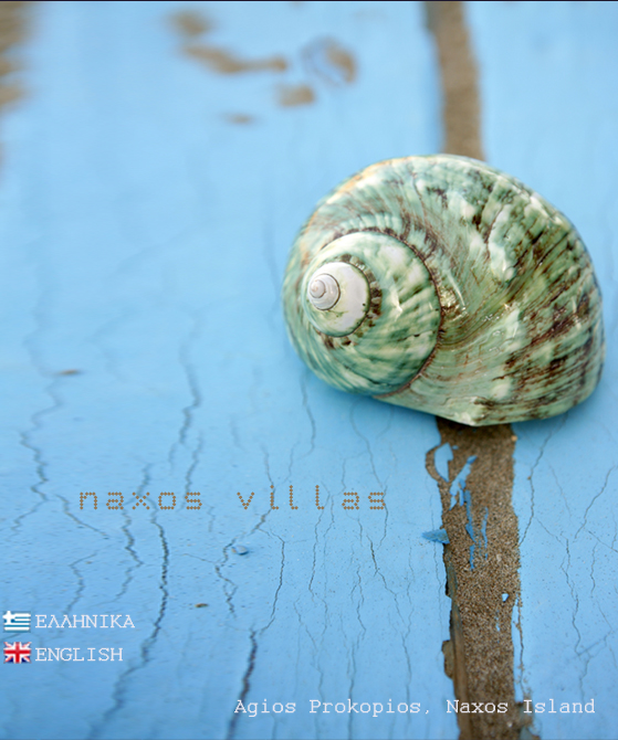 naxos villas